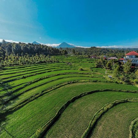 Candra Cottage Munduk Екстериор снимка